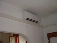 DSC06625.jpg