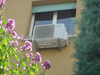 DSC06664.jpg